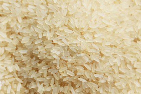 Photo for Parboiled rice dry food close up texture - Royalty Free Image