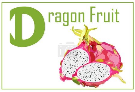 Illustration for Alphabet card for children with the letter D and Dragon Fruit - Royalty Free Image