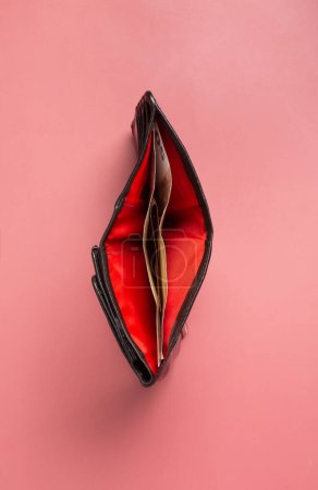 The concept of the reproductive organs of a woman, the vagina in the form of an open wallet with money. High quality photo