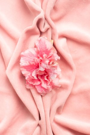 Pink soft tissue in the form of female genital organs, vulva and labia, vagina concept with delicate flower. High quality photo