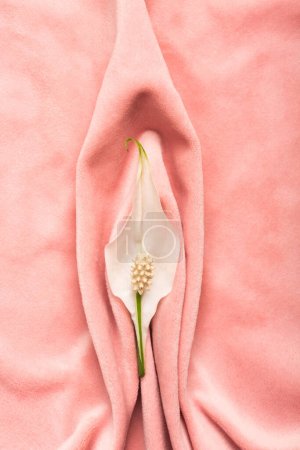 Photo for Pink soft tissue in the form of female genital organs, vulva and labia, vagina concept with delicate flower. High quality photo - Royalty Free Image