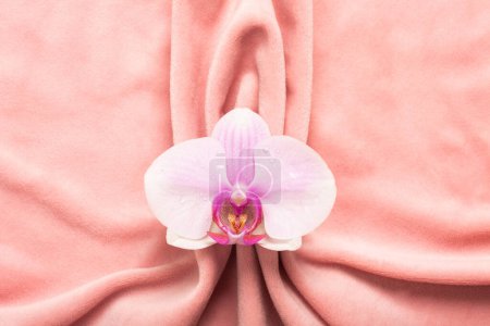 Téléchargez les photos : Pink soft tissue in the form of female genital organs, vulva and labia, vagina concept with delicate flower. High quality photo - en image libre de droit