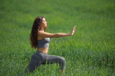 Téléchargez les photos : Profile of a woman exercising tai chi in a field - en image libre de droit