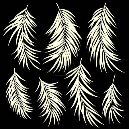 Illustration for Collection of beautiful fern leaves vector material, - Royalty Free Image