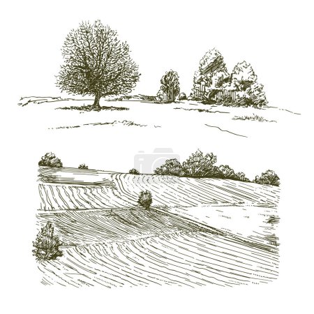 Téléchargez les illustrations : Rural landscape, meadows and trees. - en licence libre de droit