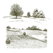 Rural landscape, meadows and trees. Longsleeve T-shirt #639308636