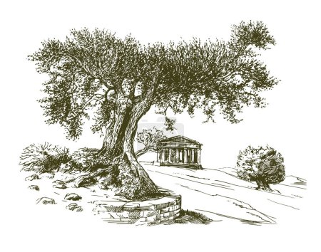 Illustration for The Temple Of Concordia In The Valley Of The Temples At Agrigento Sicily. Olive Tree. - Royalty Free Image