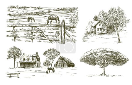 Téléchargez les illustrations : Chevaux de pâturage, paysage rural, ferme, magnifique vieil arbre. - en licence libre de droit