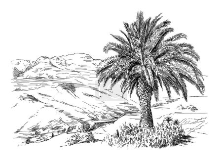 Illustration for Landscape with palm tree - Royalty Free Image