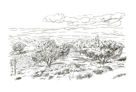 Illustration for Rural landscape, hand drawn illustration - Royalty Free Image