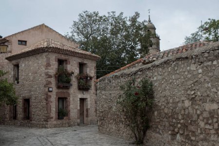 tranquila, antigua calle de piedra con una casa rústica, plantas con flores, y un árbol alto, exudando encanto histórico