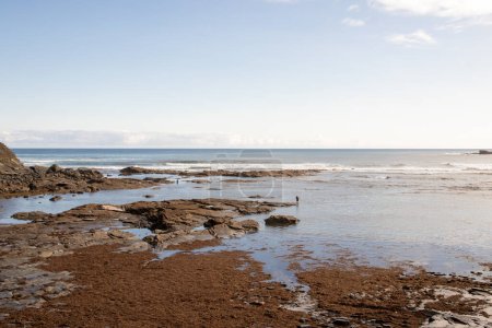 beach scene, rocky shores, calm waters, distant horizon, clear sky, natural pathways, light reflections, tidal seaweed presence