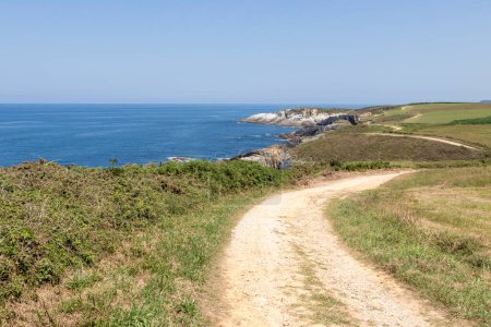 scenic coastal path overlooks the blue ocean, leading towards rocky cliffs under a clear sky, surrounded by greenery