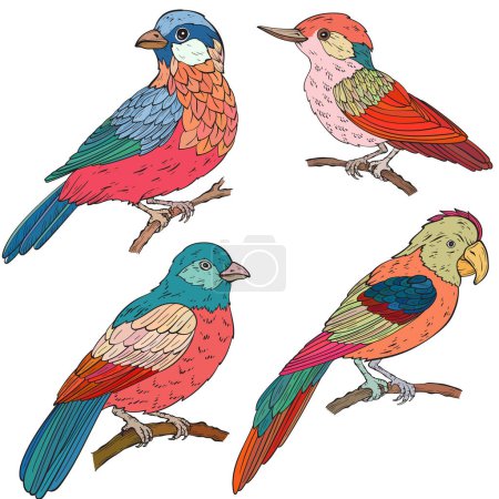 Téléchargez les illustrations : Ensemble de différents types d'oiseaux, illustration vectorielle. Isolé sur fond blanc - en licence libre de droit