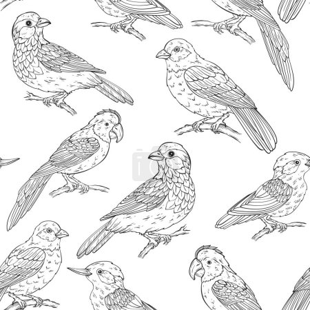 Téléchargez les illustrations : Modèle sans couture avec différents types d'oiseaux, illustration vectorielle. Illustration vectorielle - en licence libre de droit
