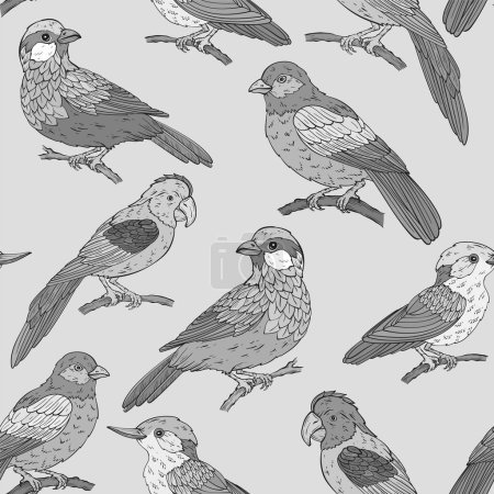 Téléchargez les illustrations : Modèle monochrome sans couture avec différents types d'oiseaux, illustration vectorielle. Illustration vectorielle - en licence libre de droit