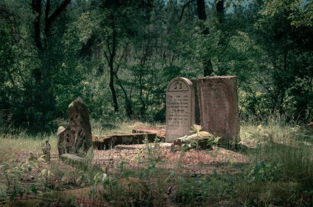 Téléchargez les photos : Tombes abandonnées au cimetière juif d'Otwock, en Pologne. Pierre matzeva sur le fond des arbres - en image libre de droit
