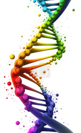 Téléchargez les photos : Illustration de brin d'ADN couleur, isolé sur fond blanc - en image libre de droit