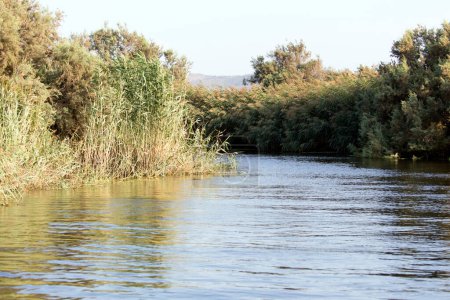 Foto de Vista del río Coghinas en Cerdeña, Italia - Imagen libre de derechos