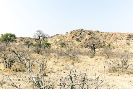 Foto de Parque nacional de Mapungubwe en Sudáfrica - Imagen libre de derechos