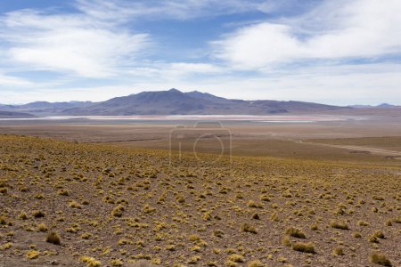Photo for The landscape in Uyuni plateau, Bolivia - Royalty Free Image