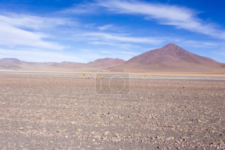 Photo for The landscape in Uyuni plateau, Bolivia - Royalty Free Image