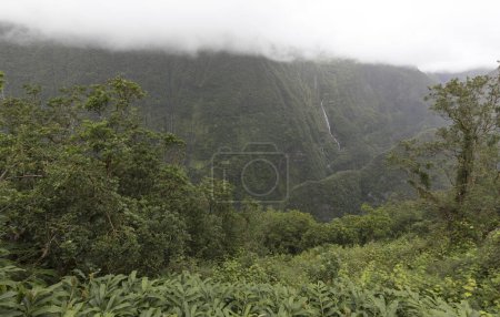 Une belle vue sur le paysage à La Réunion, France