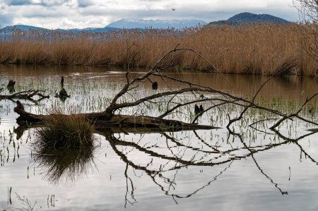 Vue sur le lac de Pamvotis à Ioannina, Grèce