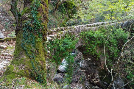 Blick auf eine traditionelle Steinbrücke im Agrafa-Gebirge nahe dem Dorf Chryso in Mittelgriechenland