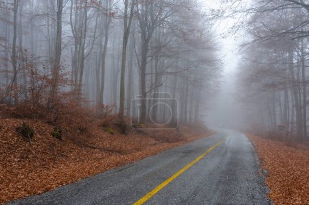 Landschaft mit Nebelwald und kurvenreicher Straße auf dem Vitsi-Berg im Nordwesten Griechenlands im Herbst