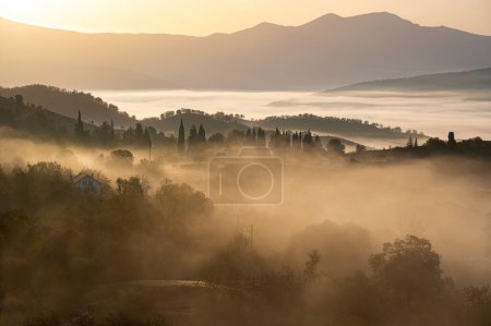 Landscape with autumnal colorful foliage and morning mist at Mount Rodopi in northern Greece at sunrise
