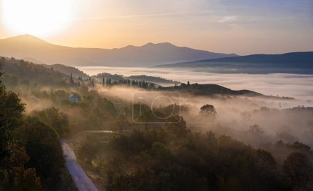 Paisaje con colorido follaje otoñal y niebla matutina en el Monte Rodopi en el norte de Grecia al amanecer