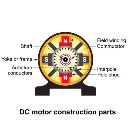Energy education, DC motor construction parts isolated on white background.