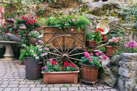 Téléchargez les photos : Chariot en bois avec des fleurs colorées à Kaysersberg - en image libre de droit