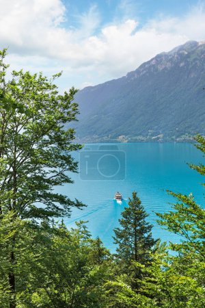Téléchargez les photos : Belle vue sur le lac Brienz en Suisse - en image libre de droit