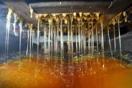       Dropping drops of sweet honey, nectar in mead. Extraction of honey from cells. Get honeys drips from bees honeycombs. honey processing illustration                         