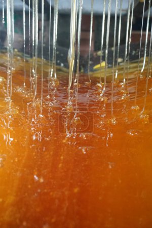      Gouttes de miel sucré, nectar en hydromel. Extraction du miel des cellules. Obtenez miels gouttes d'abeilles nids d'abeilles. illustration de transformation du miel                         