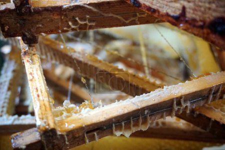 Honey in honeycomb and wooden frame. A lot of wood frame. Close up. Selective focus, moving                               
