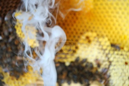       Honey, bees and beekeepers smoking equipment with smoke and fire coming out of the nozzle                         