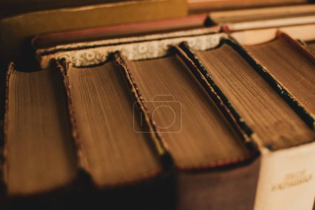 Antike Klassiker stehen auf einem alten Bücherregal in der persönlichen Bibliothek eines Büchersammlers. Archaischer "viktorianischer Roman" -Look.