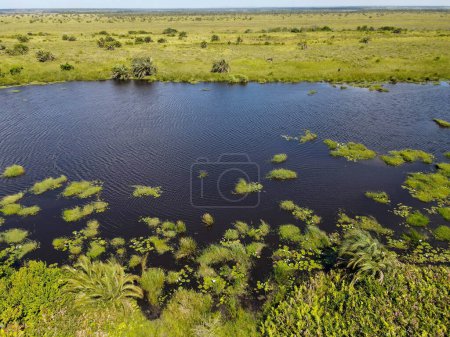 Photo for Landscape of Isimangaliso wetland park in South Africa - Royalty Free Image
