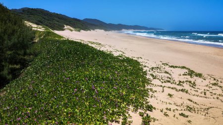 Cape Vidal, South Africa - 14 January 2023: people on the beach of Cape Vidal in Isimangaliso park, South Africa