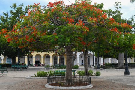 Téléchargez les photos : Cienfuegos, Cuba - 11 août 2023 : Bâtiments coloniaux au parc Jos Mart sur Cinfuegos à Cuba - en image libre de droit