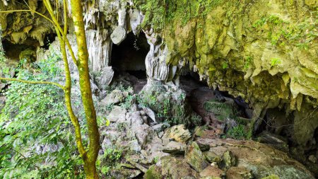 Téléchargez les photos : Vue à la grotte près des cascades El Nicho à Cuba - en image libre de droit