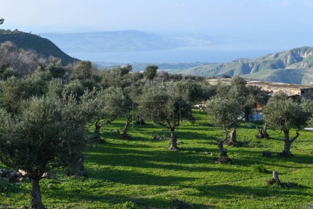 Foto de Vista al mar de Galilea y las alturas del Golán en la frontera entre Israel, Siria y Jordania - Imagen libre de derechos