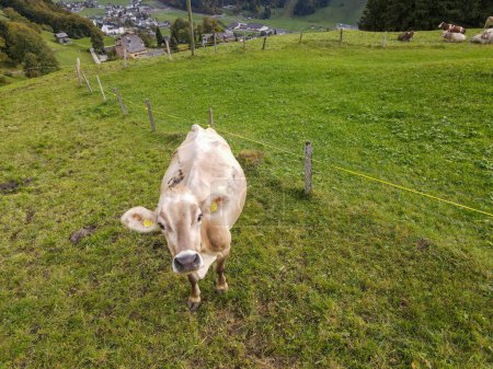 Foto de Vista del dron en el valle de Engelberg en los Alpes suizos - Imagen libre de derechos