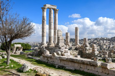 Téléchargez les photos : Vue à la citadelle romaine d'Amman sur la Jordanie - en image libre de droit