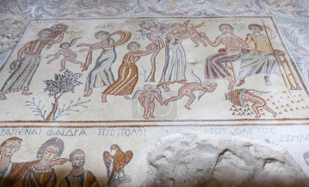 Téléchargez les photos : Grande mosaïque sur le sol de la salle Hippolyte dans le musée d'archéologie de Madaba sur la Jordanie - en image libre de droit