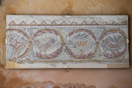 Foto de Mosaico del Salón Hipólito en el Museo de Arqueología de Madaba, Jordania - Imagen libre de derechos