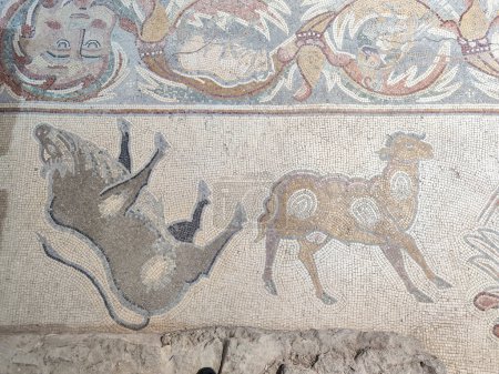 Photo for Oldest floor mosaic on church of the Apostles at Madaba in Jordan - Royalty Free Image
